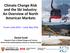 Climate Change Risk and the Ski Industry: An Overview of North American Markets