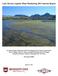 Lake Havasu Aquatic Plant Monitoring 2011 Interim Report