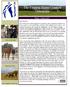 The Virginia Horse Council Newsletter