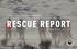 TETON COUNTY SEARCH AND RESCUE S RESCUE REPORT DECEMBER 2013-MAY 2014