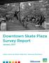 Downtown Skate Plaza Survey Report