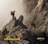 ROCK EMPIRE. Climbing and Outdoor Equipment Producer since Dear valued customers and partners,