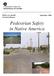 FHWA-SA September 2004 Technical Report. Pedestrian Safety in Native America