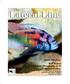Inside This Issue BAP Report Aquarium Photography pt. II Species Profiles: