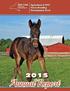 Table of Contents. Agriculture & New York State Horse Breeding Development Fund