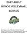 2017 ADULT INDOOR VOLLEYBALL LEAGUE