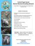 Central Puget Sound Marine Mammal Stranding Network