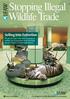 Stopping Illegal Wildlife Trade