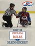 OFFICIAL RULES OF SLED HOCKEY. Photo by Joe Sport Photography
