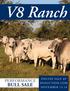 V8 Ranch BULL SALE PERFORMANCE ONLINE SALE AT DVAUCTION.COM NOVEMBER 13-14