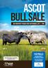ASCOT BULL SALE ON-PROPERTY FRIDAY 29TH SEPTEMBER, PM