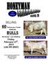 SELLING: 60 Performance Tested YEARLING BULLS