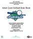 Adult Coed Softball Rule Book
