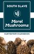 SOUTH SLAVE. Morel Mushrooms HARVESTER S HANDBOOK