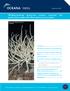 Mediterranean deep-sea corals: reasons for protection under the Barcelona Convention