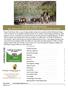 CERTIFICATE TANQUEVERDERANCH.COM 2016 PRIVATE TEAM BUILDING & ACTIVITIES GUIDE