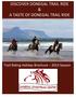 DISCOVER DONEGAL TRAIL RIDE & A TASTE OF DONEGAL TRAIL RIDE. Trail Riding Holiday Brochure 2013 Season