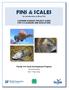 FINS & SCALES An Introduction to Bony Fish