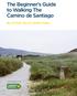 The Beginner s Guide to Walking The Camino de Santiago