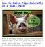 How to Raise Pigs Naturally on a Small Farm
