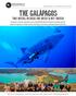 The GalápaGos. Two weeks, because one week is not enough