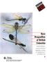 Rare Dragonflies of British Columbia WILDLIFE