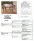 LOT #16. HR Misty Joe Bob Rascal Robert APHA # Gray Stallion. Owner: Heritage Ranch HESA EDDIE HANCOCK 3,093,277