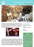 SHAN. Snow Leopard Conservancy India Trust IN THIS EDITION MISSION