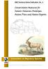 Conservation Measures for Sahelo-Saharan Antelopes. Action Plan and Status Reports.