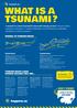 WHAT IS A TSUNAMI? happens.nz. Long or Strong GET GONE TSUNAMI 101