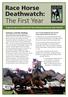 The First Year. Race Horse Deathwatch: RACE HORSE DEATHWATCH. A special report by Animal Aid s Horse Racing Consultant, Dene Stansall