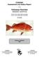 Yelloweye Rockfish Sebastes ruberrimus
