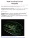 NOBANIS - Invasive Alien Species Fact Sheet. Mnemiopsis leidyi