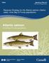 Atlantic salmon. Recovery Strategy for the Atlantic salmon (Salmo salar), inner Bay of Fundy populations. (Inner Bay of Fundy populations)