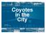Coyotes in the City. Presentation Date: April 3 rd 2012