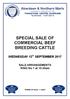 SPECIAL SALE OF COMMERCIAL BEEF BREEDING CATTLE