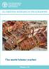 GLOBEFISH RESEARCH PROGRAMME. The world lobster market. Volume 123