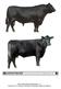 Beef Cattle-Breed Identification 5 Kentucky 4-H Livestock Volunteer Certification Resource Manual