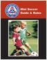 Mini Soccer Guide & Rules