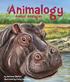 Animalogy. Animal Analogies. by Marianne Berkes illustrated by Cathy Morrison