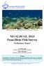 MOALBOAL 2013 Peau-Bleue Fish Survey