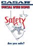 ARE YOU SAFE? Critical thoughts about the safety of ropes and reeving systems Dipl.- Ing. Roland Verreet
