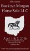 Buckeye Morgan Horse Sale LLC