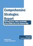 Comprehensive Strategies Report