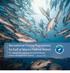 Recreational Fishing Regulations for Gulf of Mexico Federal Waters For Species Managed by the Gulf of Mexico Fishery Management Council January 2017
