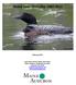 Maine Loon Mortality: