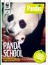 PANDA SCHOOL AN EXCITING NEW PLACE TO LEARN THE BEAR NECESSITIES