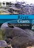 Riverof Giants. Giant Fish of the Mekong
