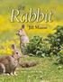 copyrighted material the Rabbit Jill Mason Merlin Unwin Books