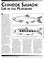 chinook salmon Life in the Watershed Chinook salmon are
